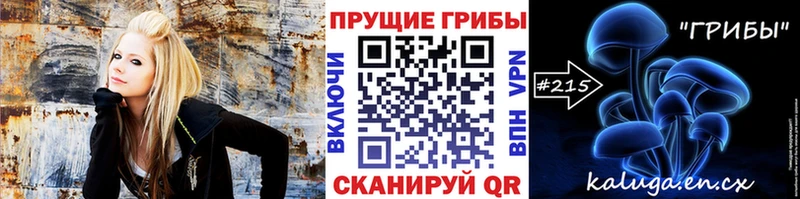 Галлюциногенные грибы Psilocybine cubensis Луховицы
